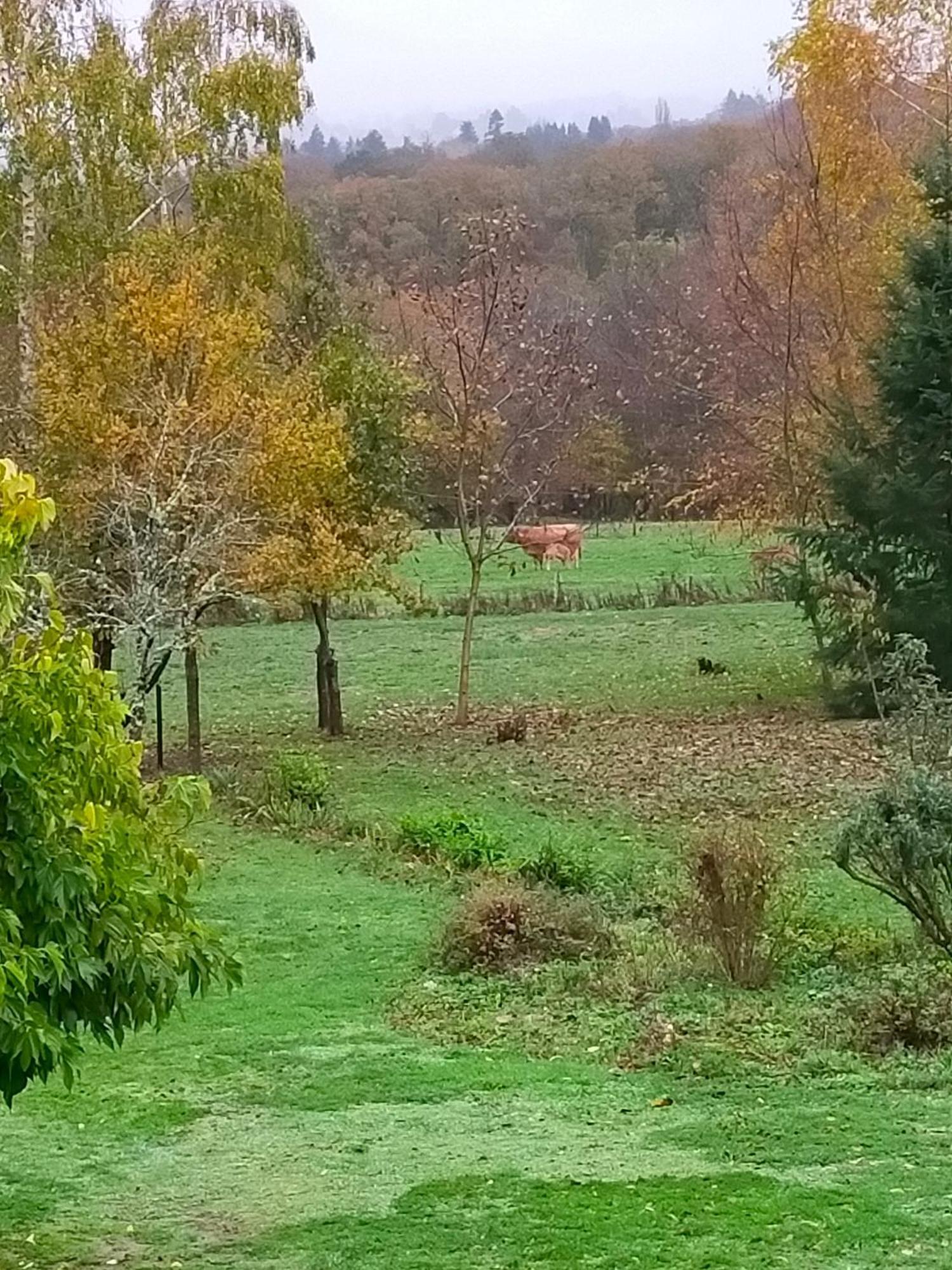 Gite Se Sentir Libre Crozant Esterno foto
